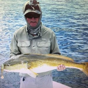 Meet your Posher, Richard